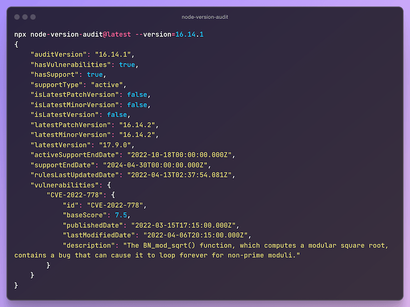 node version audit package